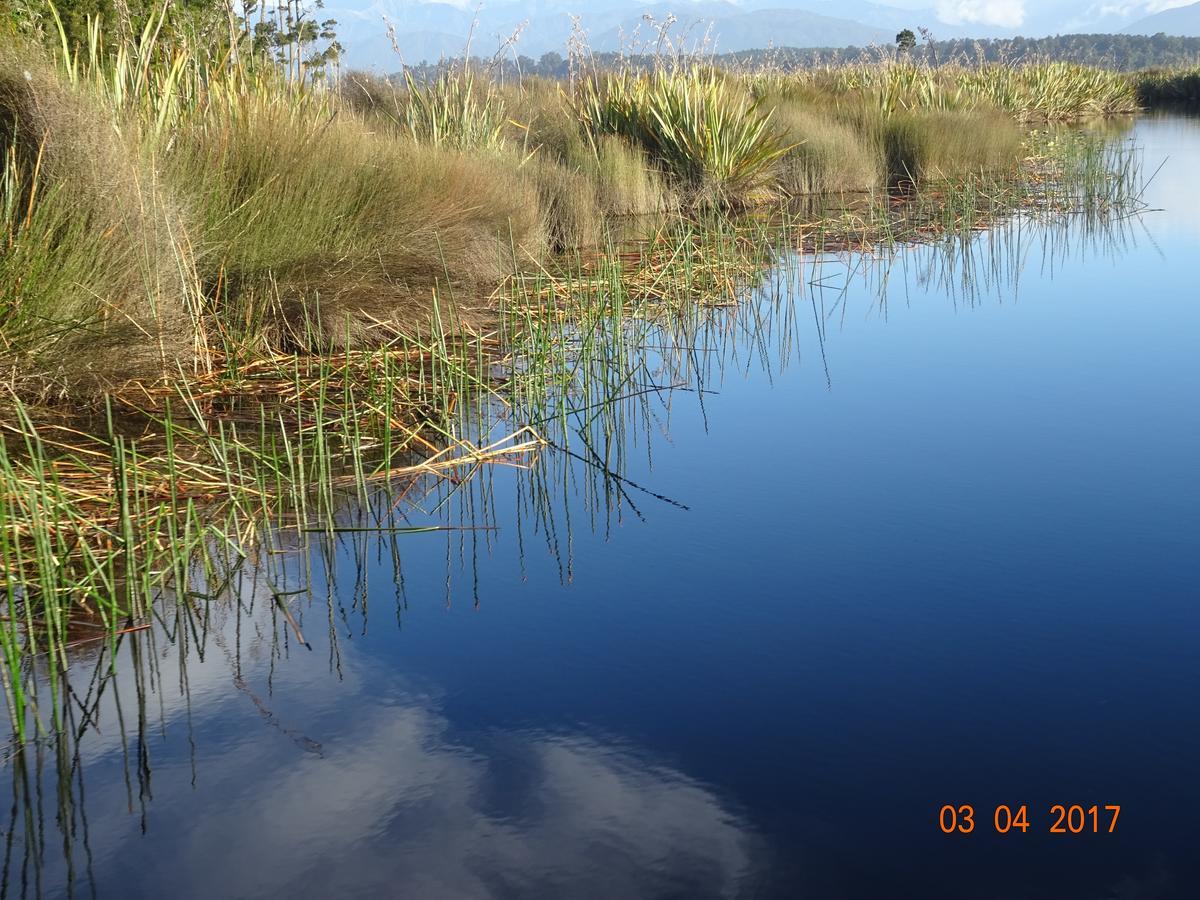 Hokitika - Blue Spur Bed And Breakfast Luaran gambar